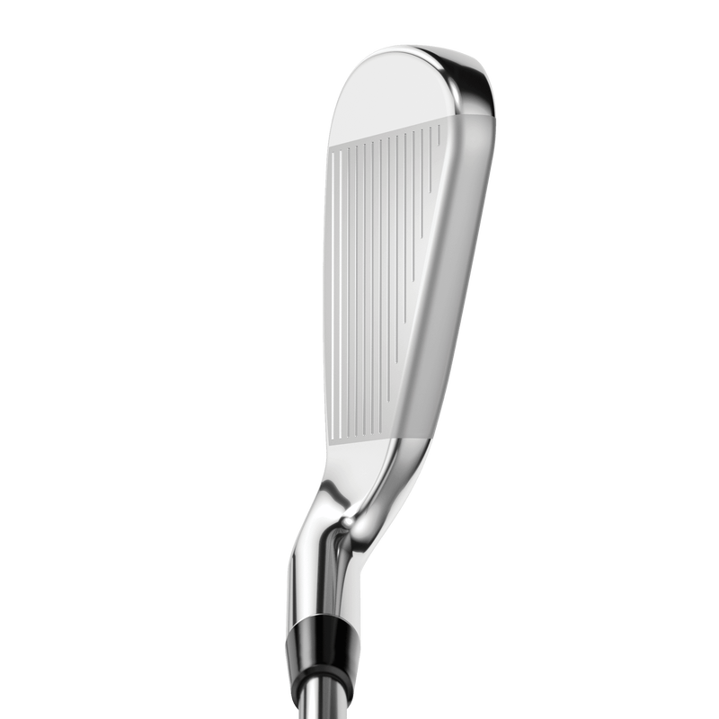 Rogue ST MAX Eisen - View 2