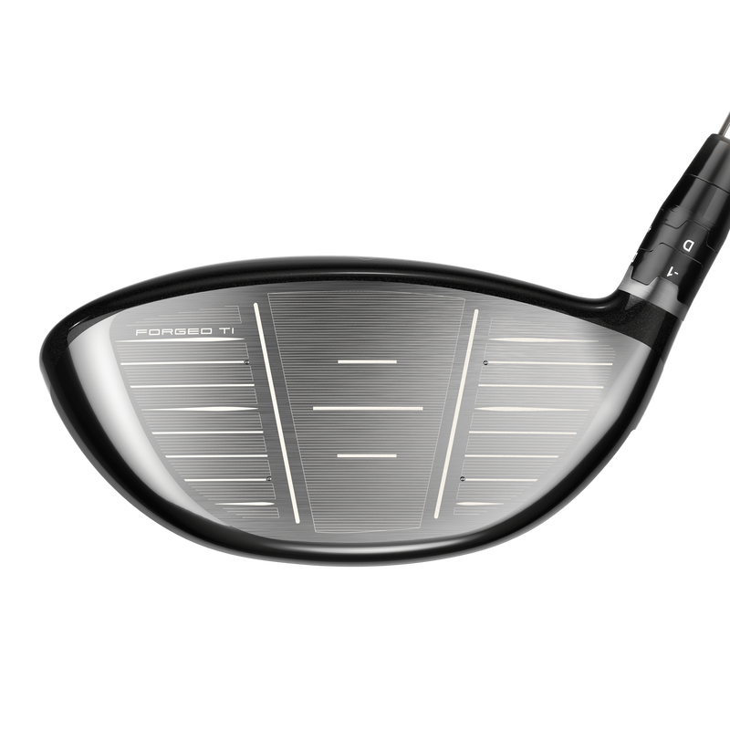 Big Bertha Driver - View 4