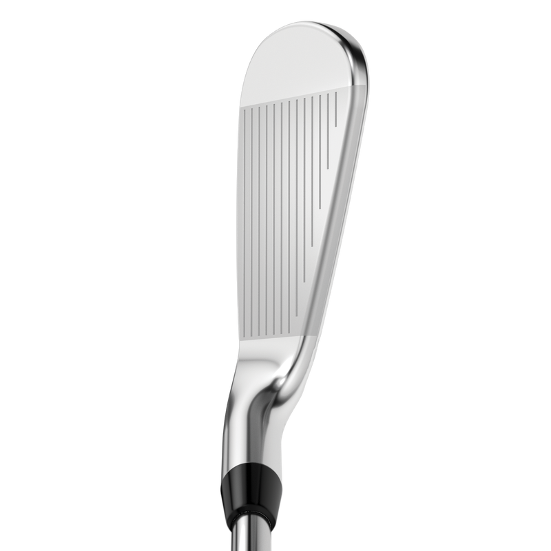 Apex Pro 21 Eisen - View 2