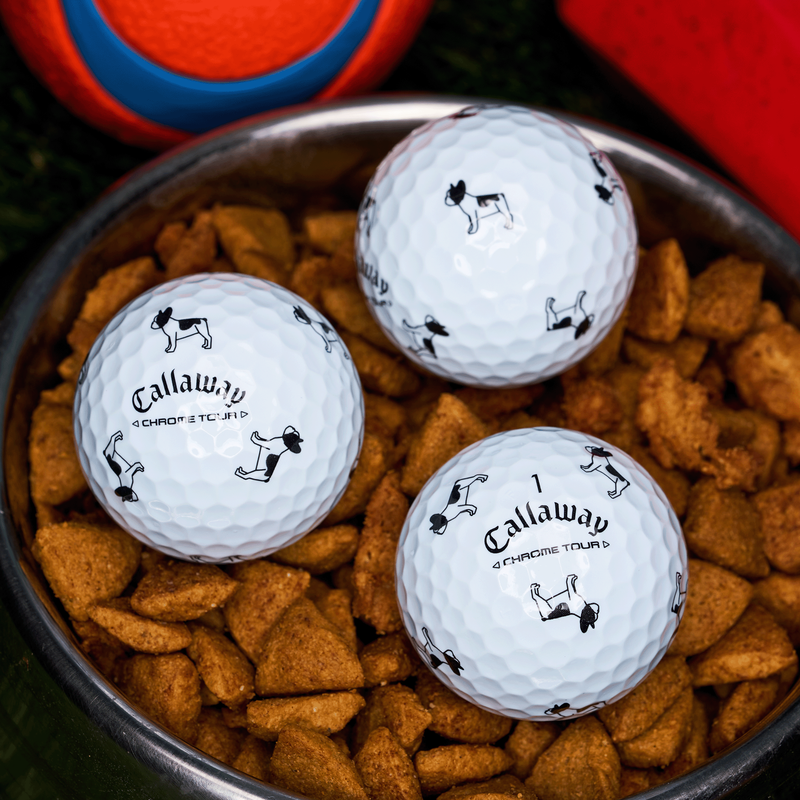 Chrome Tour Small Dogs: Pied French Bulldog - View 3