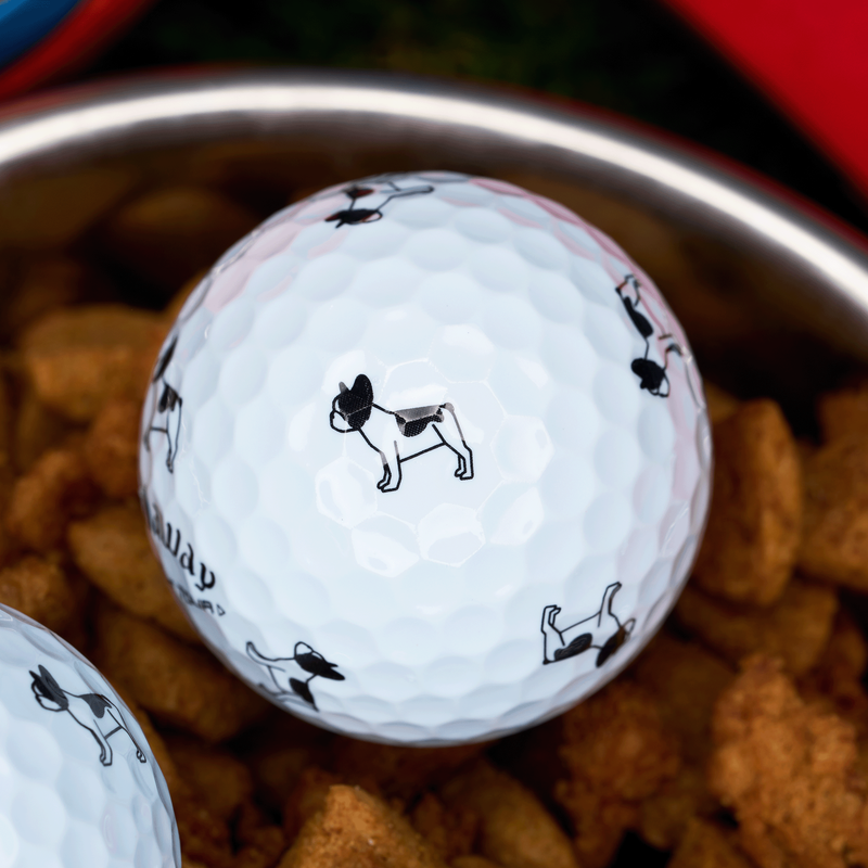 Chrome Tour Small Dogs: Pied French Bulldog - View 4