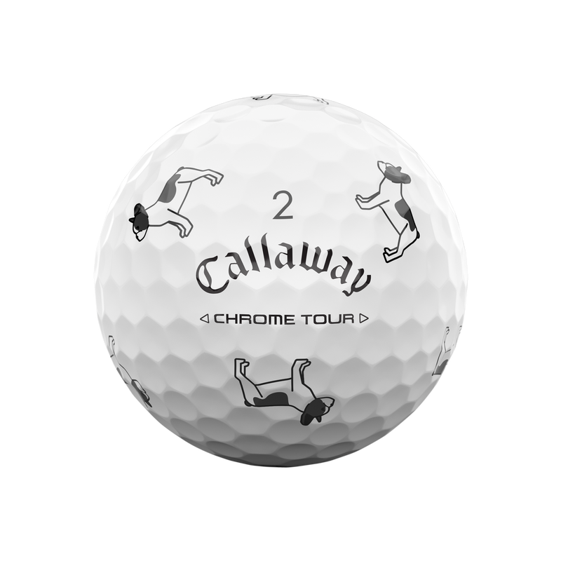 Chrome Tour Small Dogs: Pied French Bulldog - View 5