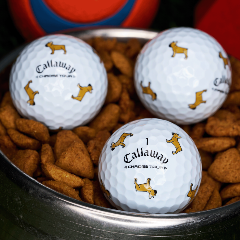 Chrome Tour Small Dogs: Fawn French Bulldog - View 3
