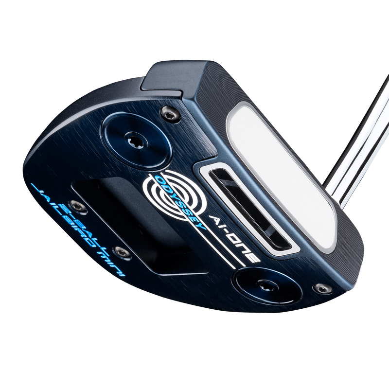 Putter Ai-ONE 2-Ball Jailbird DB - View 4