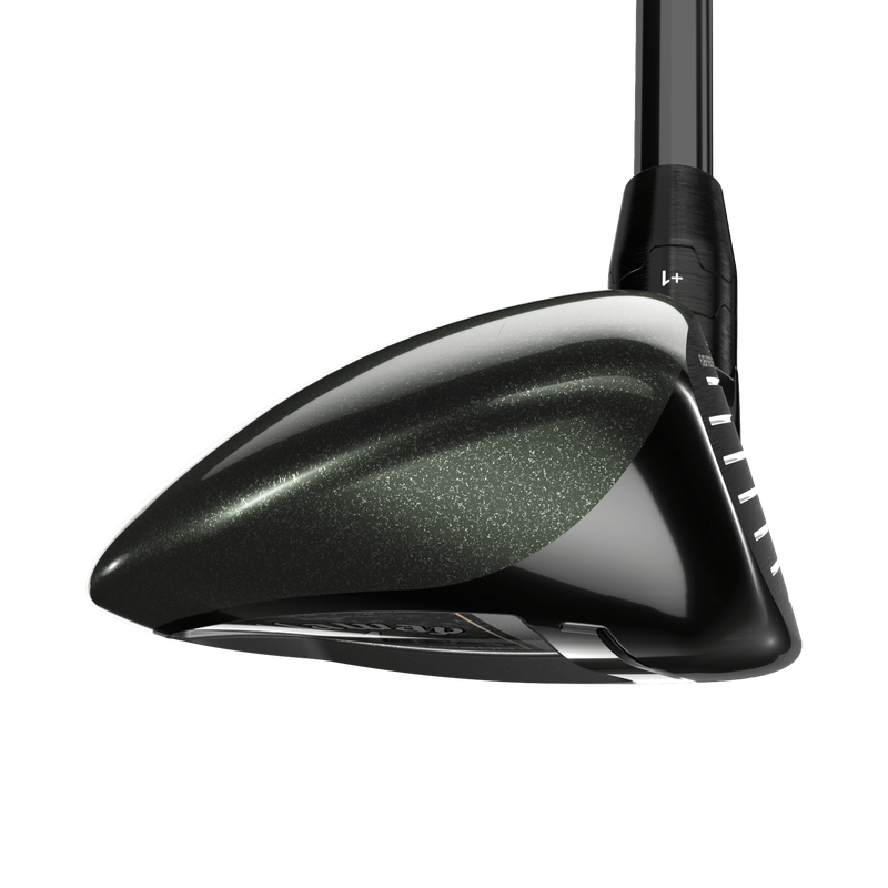 Hybrides Great Big Bertha - View 3