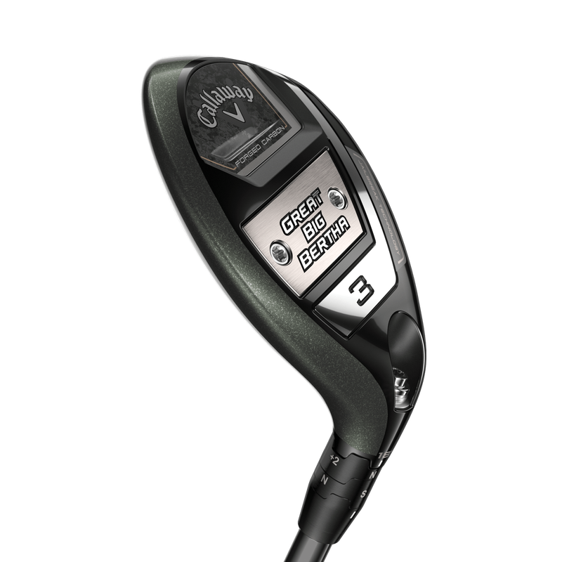 Hybrides Great Big Bertha - View 6