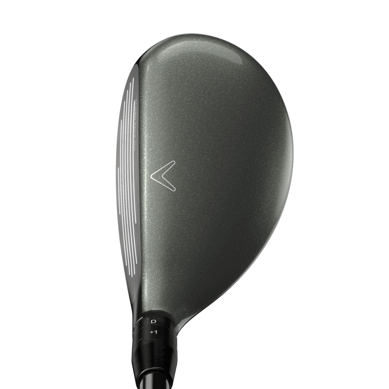 Hybrides Great Big Bertha - View 2